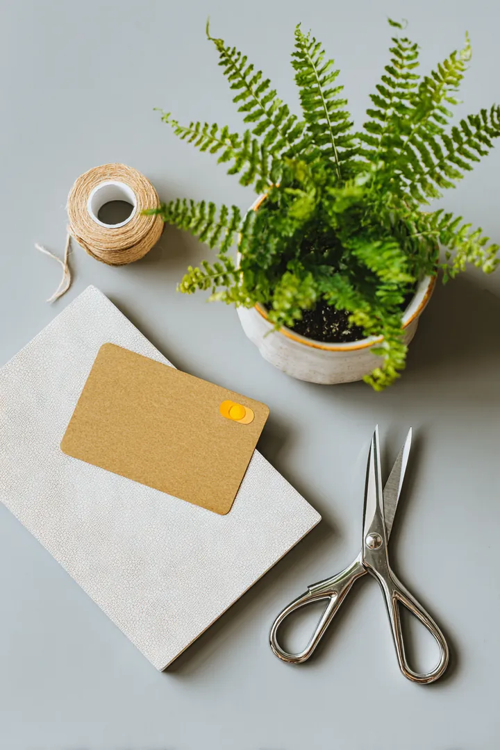 Flat lay of scissors beside a cut plastic credit card and a green fern leaf